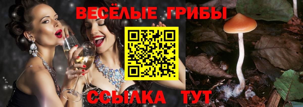 Псилоцибиновые грибы Magic Shrooms  хочу наркоту  Псилоцибиновые грибы Magic Shrooms  Клин  Вход с VPN 