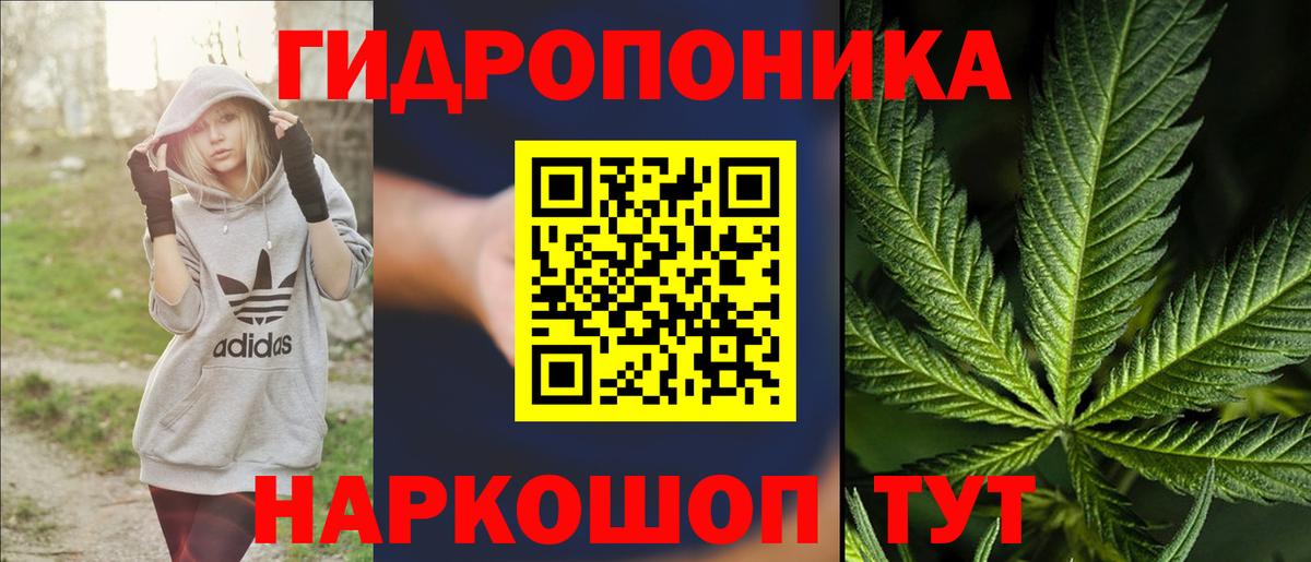 Каннабис конопля Клин